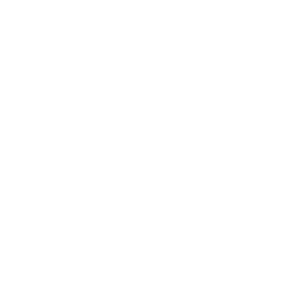 Icon security