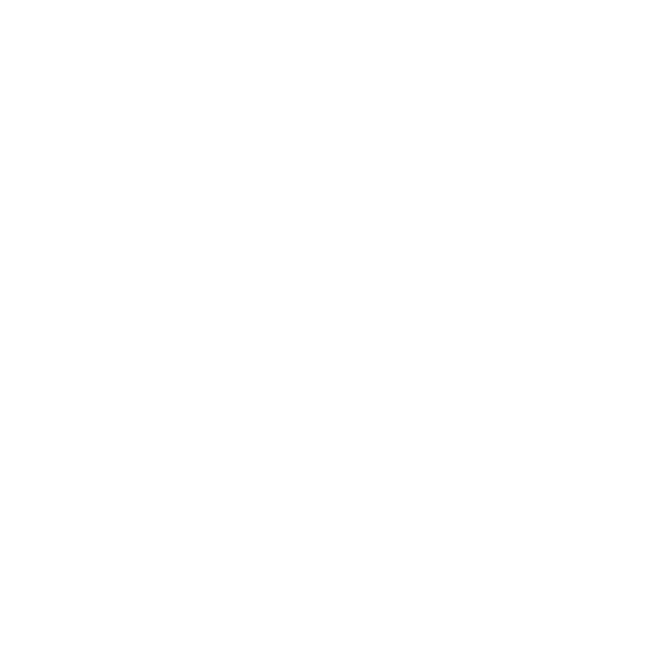 icon card technologies