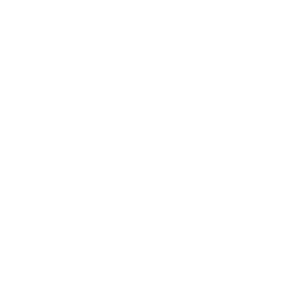 icon payment via chipcard