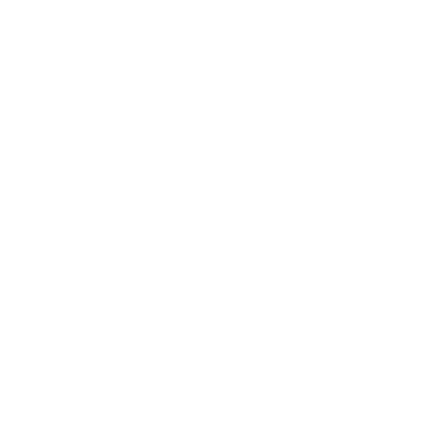 icon secure netprinting