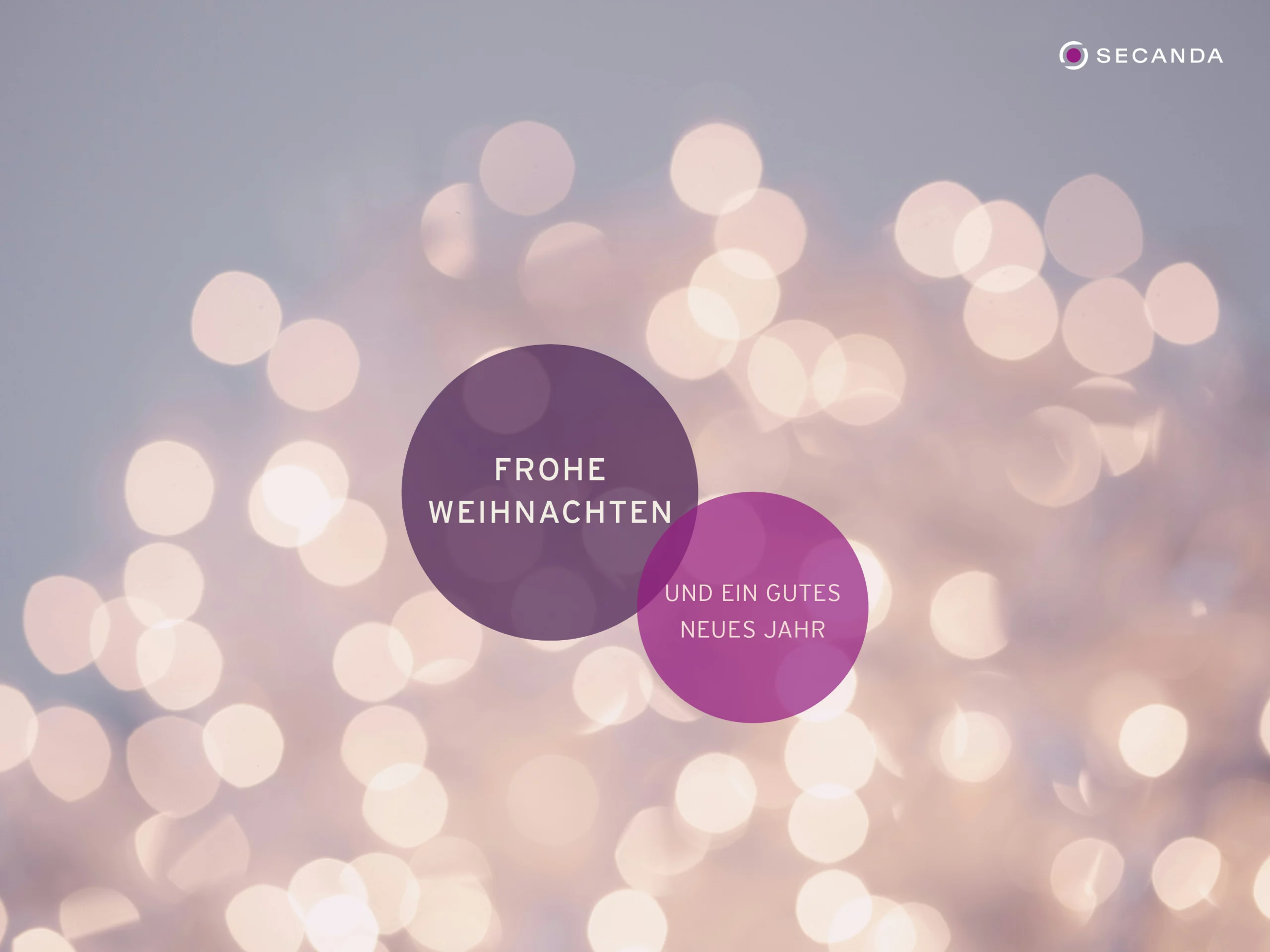 SECANDA Weihnachten 2024