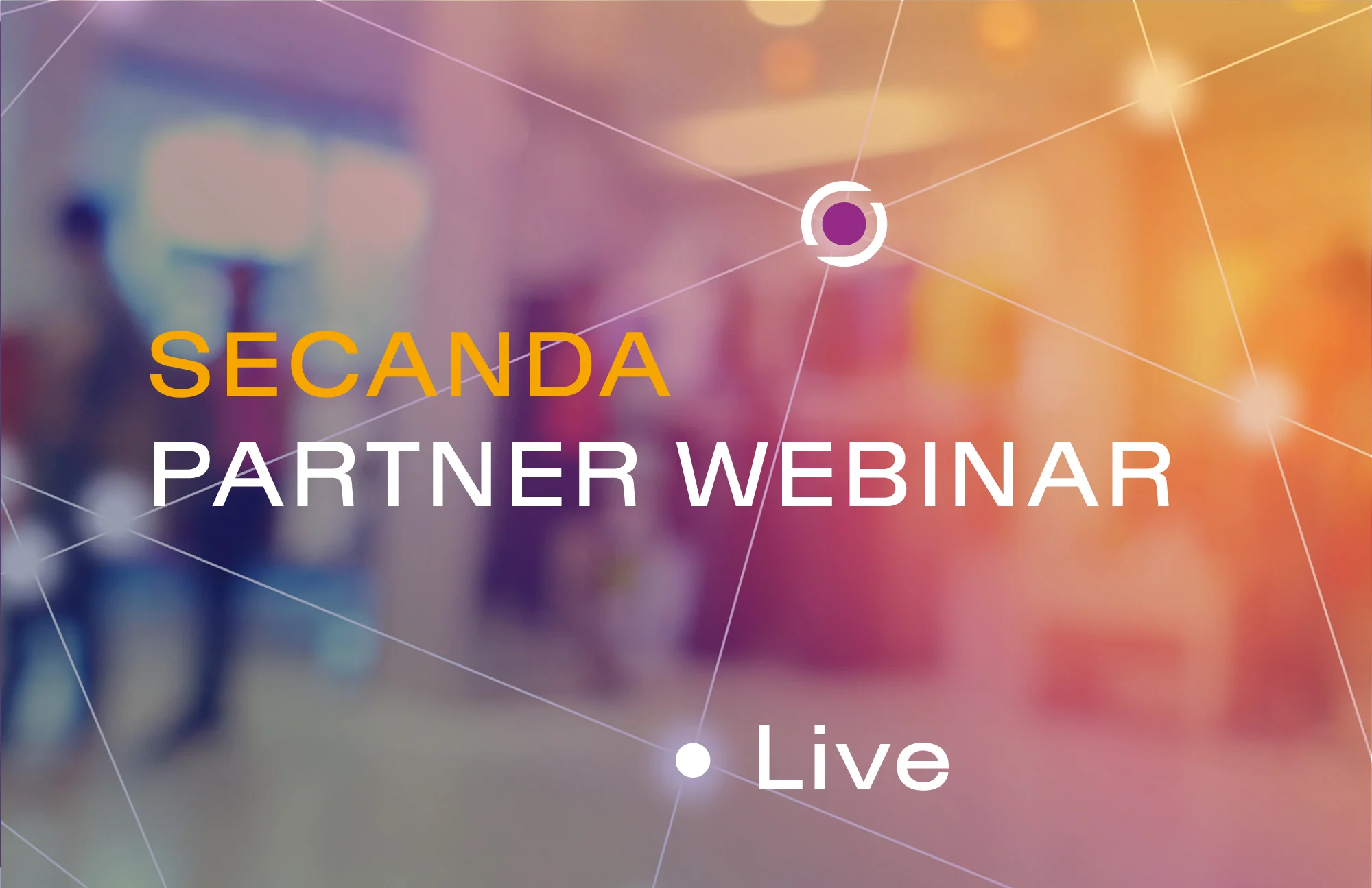 Partner-Webinar